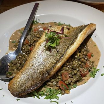 Entre Nous French Bistro - Seabass - Wine Bars Near Me - Pasadena, California Entre Nous French Bistro - Seabass - Wine Bars Near Me - Pasadena, California