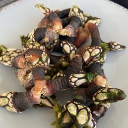 Gooseneck barnacles Gooseneck barnacles