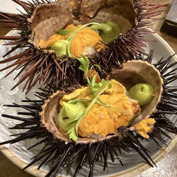 Holbox - Erizo Sea Urchin - Latin American Near Me - Los Angeles, California