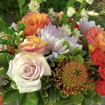 Provincetown Florist - Beautiful!! - Florists Near Me - Provincetown, Massachusetts Provincetown Florist - Beautiful!! - Florists Near Me - Provincetown, Massachusetts