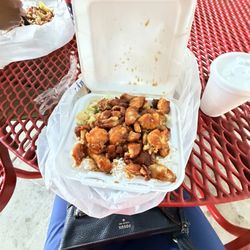 Extreme Teriyaki Grill Express