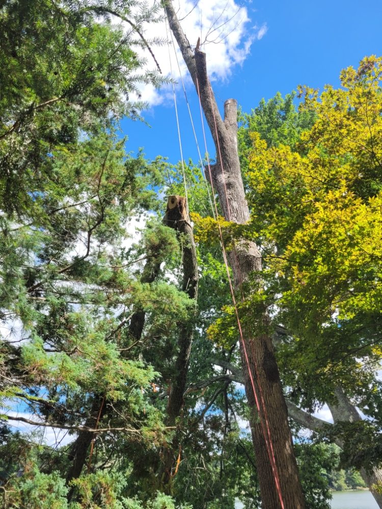 Slide of A Touch Of Class Remodeling