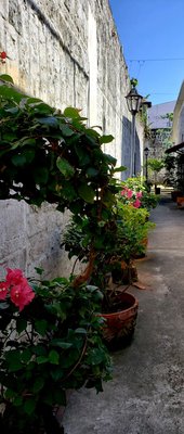 Museo Sugbo by null