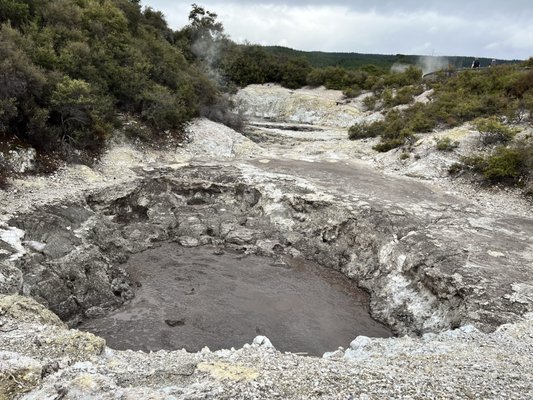 Waiotapu Thermal Wonderland by null