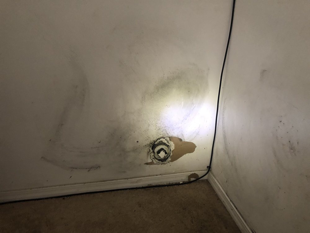 Slide of Rooter Town