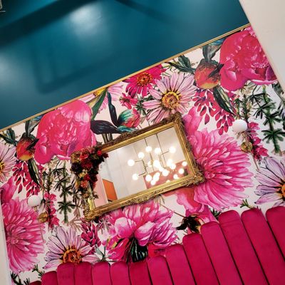 The Bougie Grazer by null