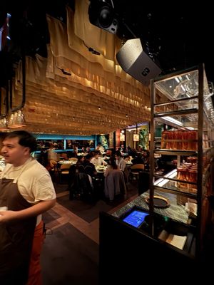 Crying Tiger by null