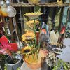 Dutch Flowers gift card