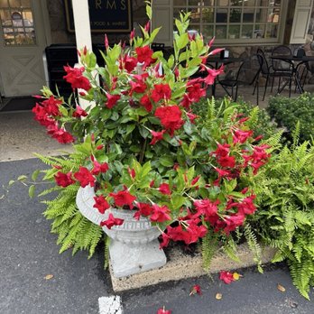 Colonial Farms - Bakeries Near Me - Washington Crossing, Pennsylvania Colonial Farms - Bakeries Near Me - Washington Crossing, Pennsylvania