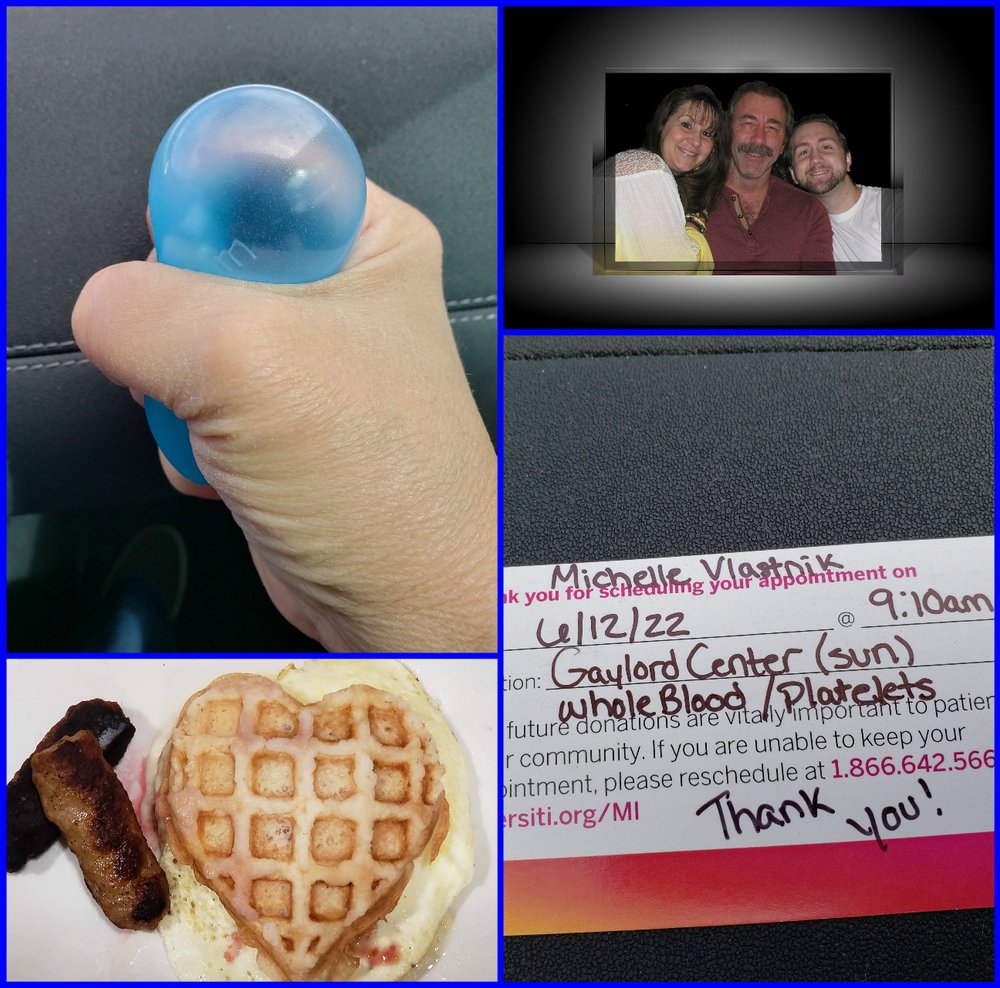 VERSITI BLOOD CENTER OF MICHIGAN 133 W Main, Gaylord, Michigan