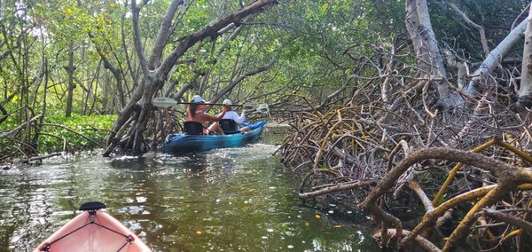 Happy Paddler Kayak Tours & Rentals - Lido Key Ted Sperling Park by null