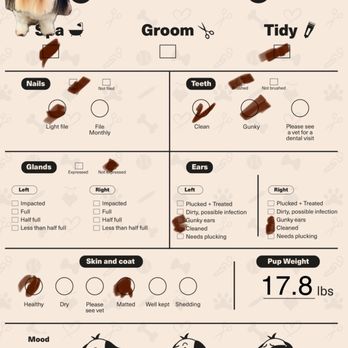 Pawfect Time - Bruno's appointment report - Pet Groomers Near Me - Palm Desert, California Pawfect Time - Bruno's appointment report - Pet Groomers Near Me - Palm Desert, California