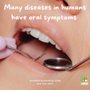 Photo of Dental Pointe