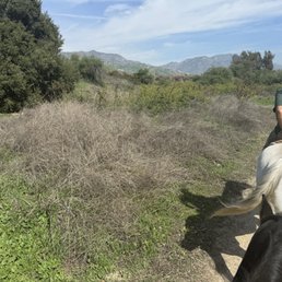 Great experience horse riding!