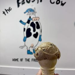 The Frosty Cow - Java Chip ice cream