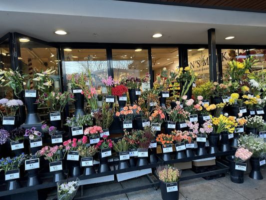 Zupan's Markets - Burnside by null