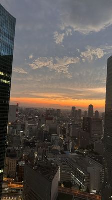 The Royal Park Hotel Tokyo Shiodome by null