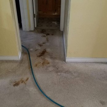 Safe Bright Organics - Before picture - Carpet Cleaning Near Me
