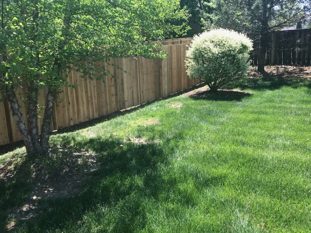 SKY FENCE COMPANY 1310 E Prathersville Rd, Columbia, Missouri