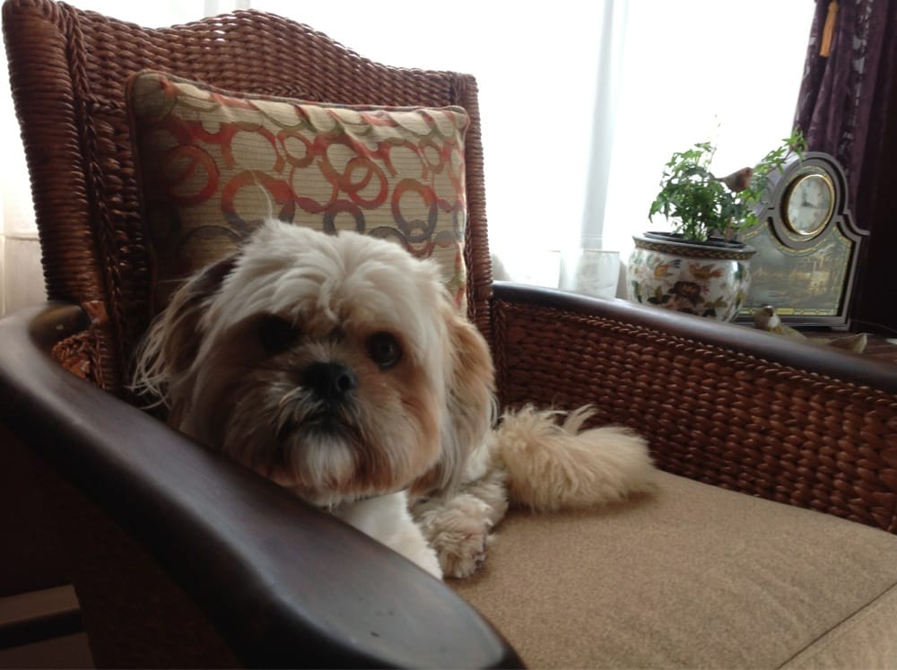 RIN TIN INN KENNELS Updated September 2024 11631 219th Ave NW, Elk