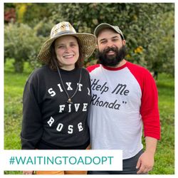 Adoption Advocates