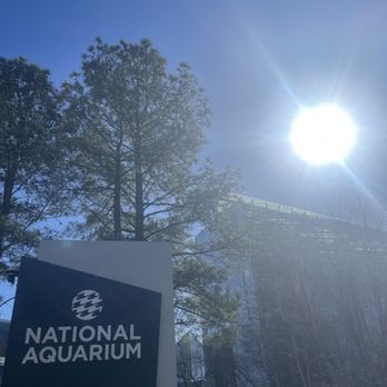 National Aquarium - Aquariums Near Me - Baltimore, Maryland National Aquarium - Aquariums Near Me - Baltimore, Maryland