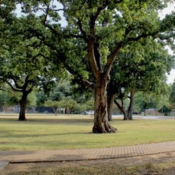 Pleasant Oaks Recreation Center - Lots of mature trees, shade, and miles of jogging trails