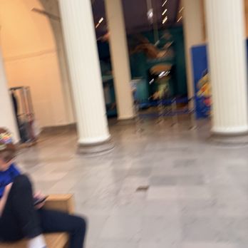 Field Museum - Museums Near Me - Chicago, Illinois Field Museum - Museums Near Me - Chicago, Illinois