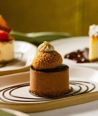 Tucci New York City by null