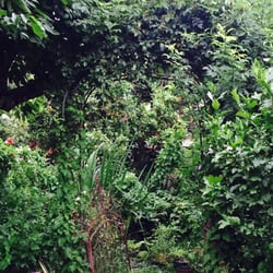 Aggarthi - A part of the courtyard of Aggarthi