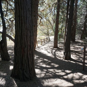 Heaps Peak Arboretum - Well maintained and easy path - Botanical Gardens Near Me - Lake Arrowhead, California Heaps Peak Arboretum - Well maintained and easy path - Botanical Gardens Near Me - Lake Arrowhead, California