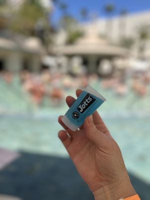 Flamingo Pool at Flamingo Las Vegas by null Flamingo Pool at Flamingo Las Vegas by null