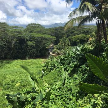 Himalayan Academy / Kauai's Hindu Monastery - Landmarks & Historical Buildings Near Me - Kapaa, Hawaii