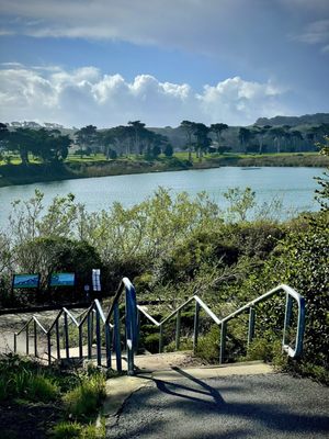 Lake Merced Park by null