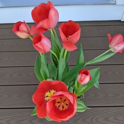 Merrimack Flower Shop & Greenhouse