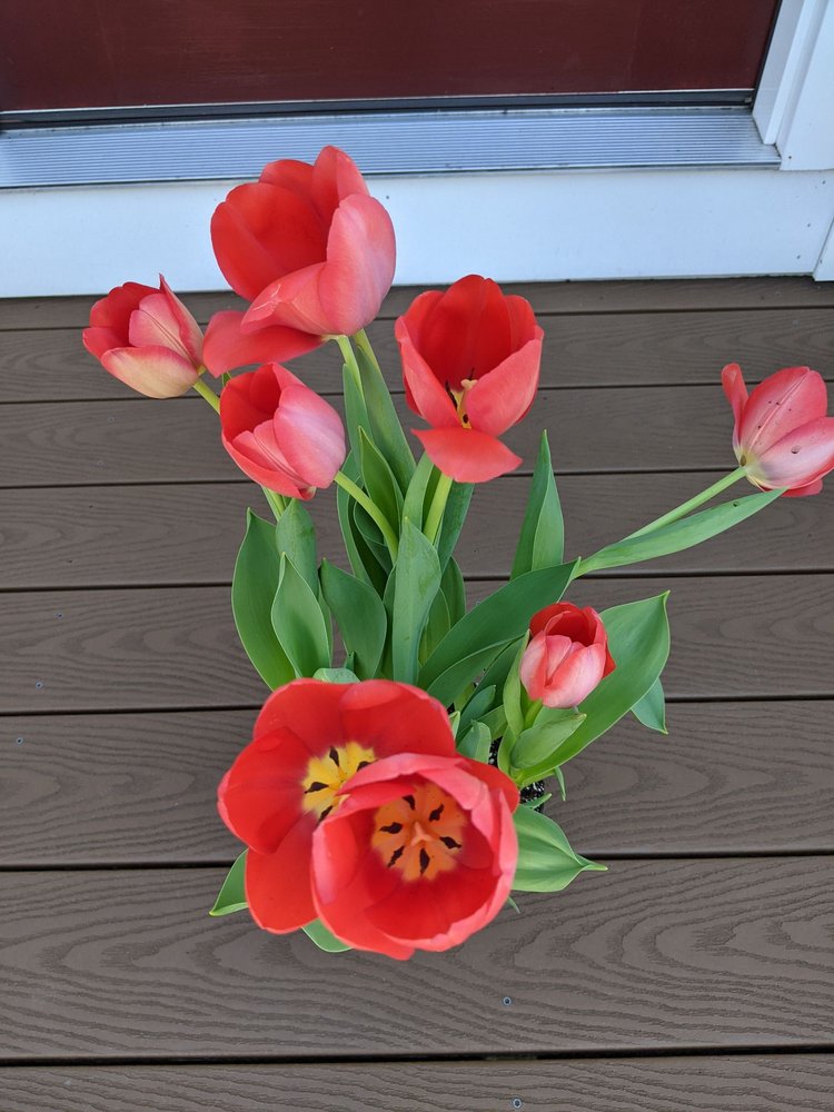 MERRIMACK FLOWER SHOP & GREENHOUSE Updated October 2024 4 Railroad