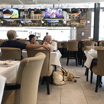 107 Steak & Bar - I want this dog - Bars Near Me - Doral, Florida
