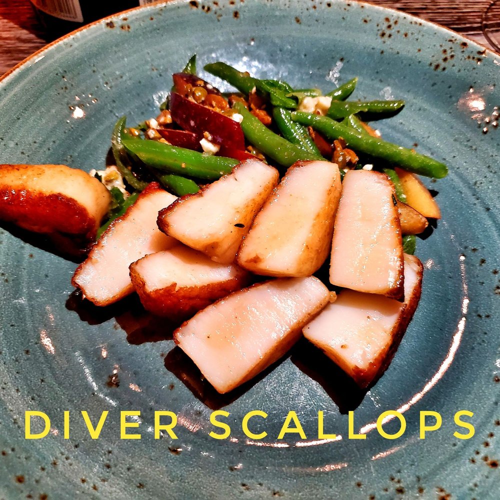 Charcoal - Scallops - New American Near Me - Yardley, Pennsylvania Charcoal - Scallops - New American Near Me - Yardley, Pennsylvania
