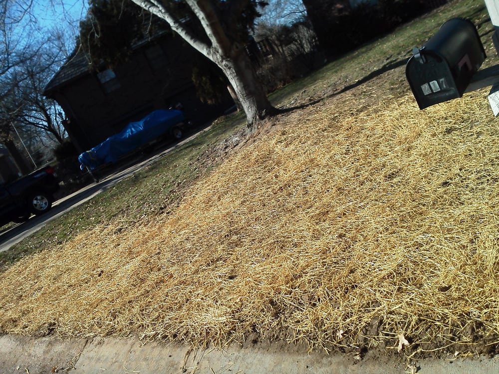 Slide of 123 Plumbing Kansas City