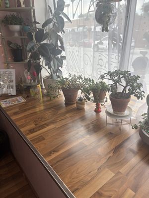 Carter & Rye by null