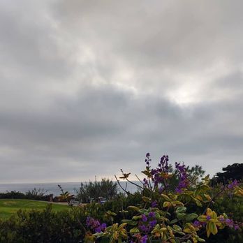 Del Mar City Beach - Beaches Near Me - Del Mar, California