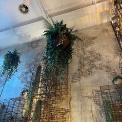 The Botanist - Waterfall Decor