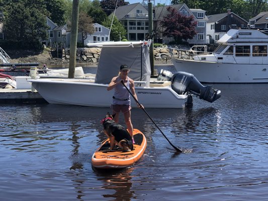 Coastal Maine Hike and Bike by null