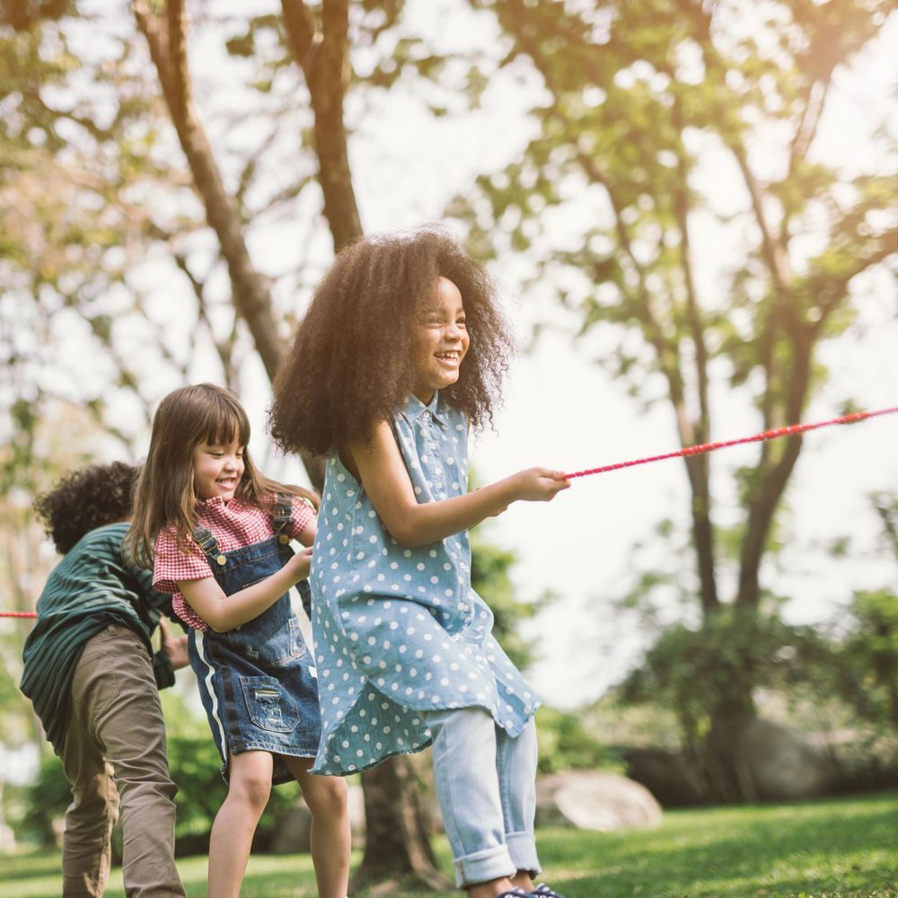 Ramona intelligence overview