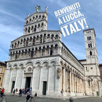 Chiesa di San Michele in Foro by null
