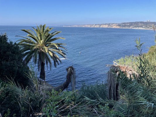 La Jolla Trail by null