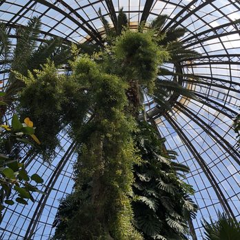 Anna Scripps Whitcomb Conservatory - Anna Scripps Whitcomb Conservatory - Botanical Gardens Near Me - Detroit, Michigan Anna Scripps Whitcomb Conservatory - Anna Scripps Whitcomb Conservatory - Botanical Gardens Near Me - Detroit, Michigan