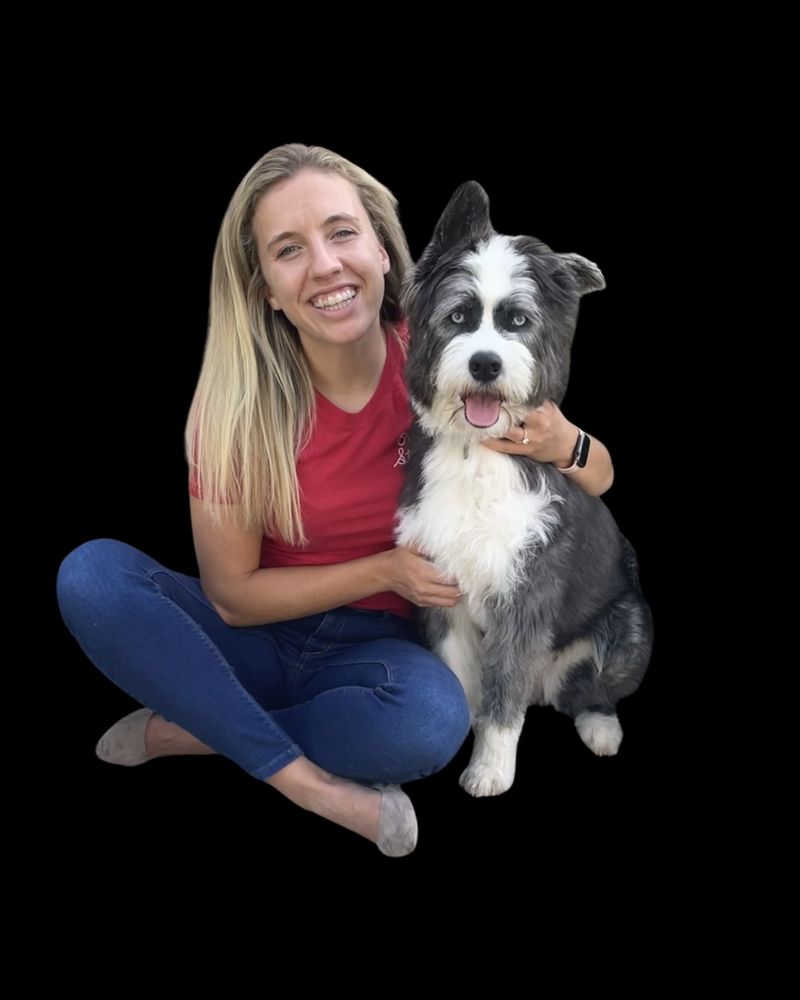 Blossom Pediatric Therapy Partners - child therapist in Columbus, OH