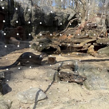 Maryland Zoo in Baltimore - Zoos Near Me - Baltimore, Maryland