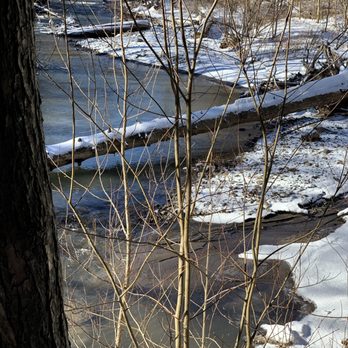 Comeau Trail - Kick Ass Naturalness - Hiking Near Me